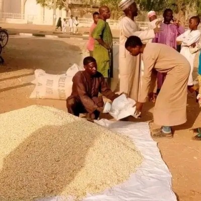 Rice selling per mudu 1000 naira Profile Picture